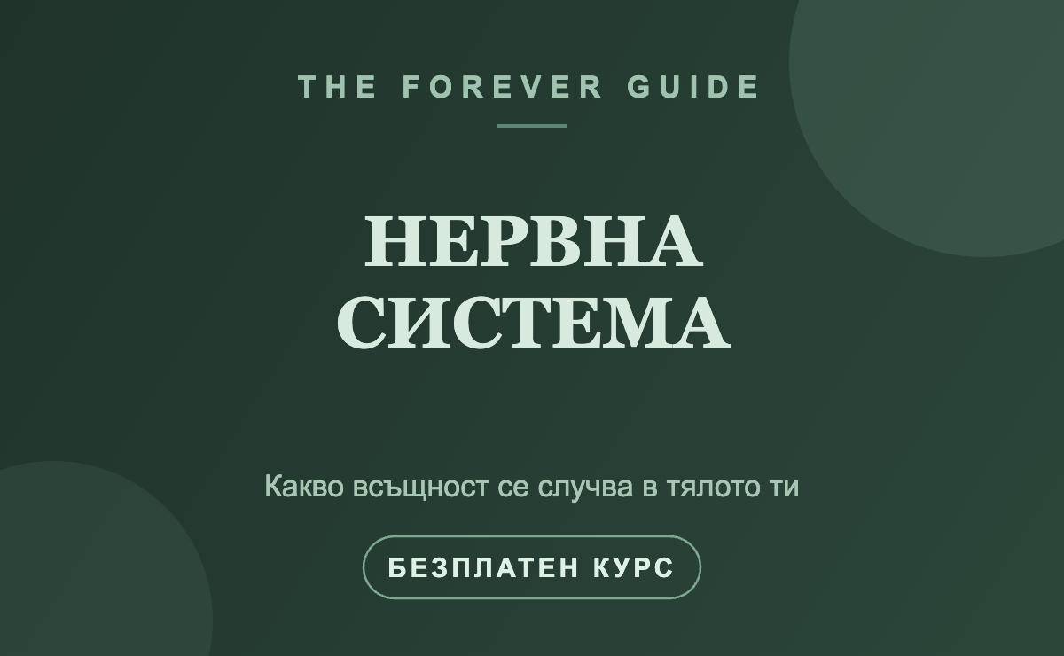 Нервна система — какво всъщност се случва в тялото ти
