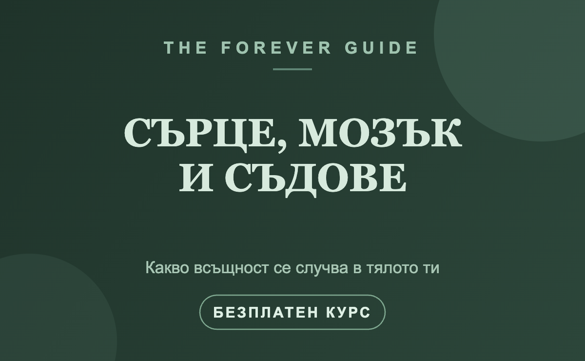Сърце, мозък и съдове — какво всъщност се случва в тялото ти